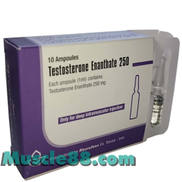 TESTOSTERONE ENANTHATE 10amp 250mg/amp (Aburaihan)