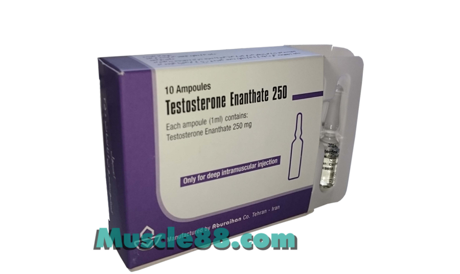 TESTOSTERONE ENANTHATE 10amp 250mg/amp (Aburaihan)