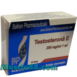 TESTOSTERONA E 250mg (Balkan Pharmaceuticals)