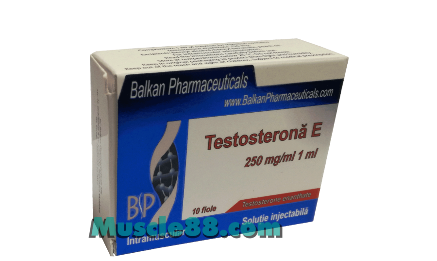 TESTOSTERONA E 250mg (Balkan Pharmaceuticals)