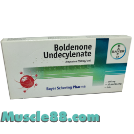 Boldenone Undecylenate 250mg (Bayer Schering)