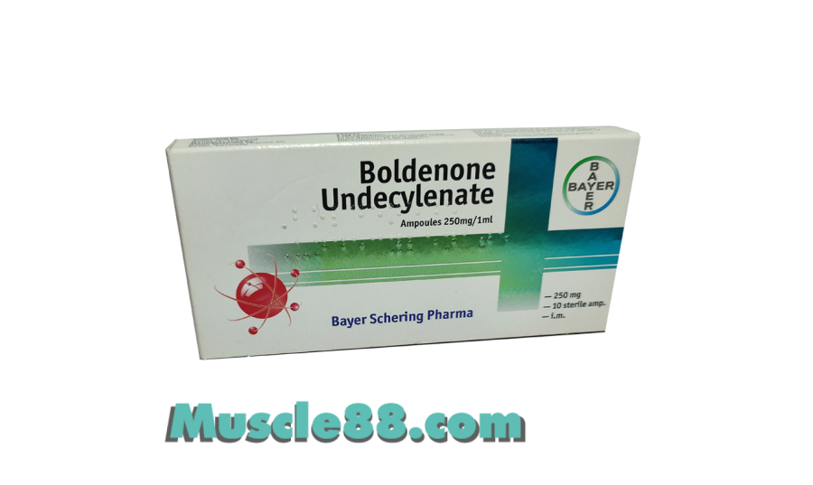 Boldenone Undecylenate 250mg (Bayer Schering)