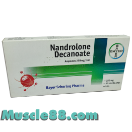 Nandrolone Decanoate 250mg (Bayer Schering)