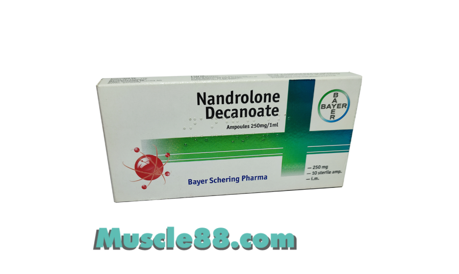 Nandrolone Decanoate 250mg (Bayer Schering)