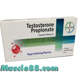 Testosterone Propionate 10amp 100mg/ml (Bayer Schering)