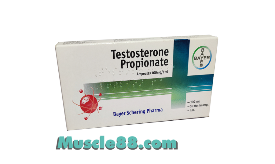 Testosterone Propionate 10amp 100mg/ml (Bayer Schering)