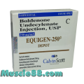 Equigen 250mg (Calvin Scott)