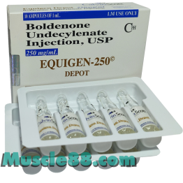 Equigen 250mg (Calvin Scott)