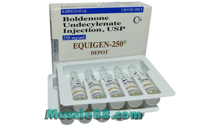 Equigen 250mg (Calvin Scott)