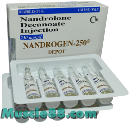 Nandrogen 250mg (Calvin Scott)