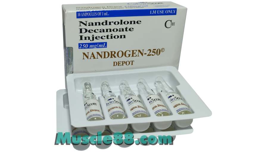 Nandrogen 250mg (Calvin Scott)