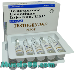 Testogen 250mg (Calvin Scott)