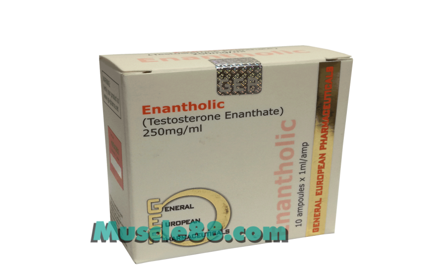 ENANTHOLIC 10amp 250mg/amp (GEP Pharmaceuticals)