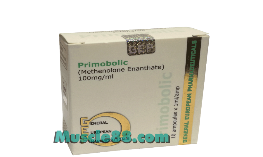 PRIMOBOLIC 100mg (GEP Pharmaceuticals)