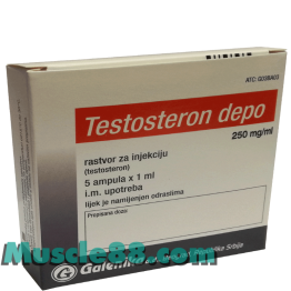 TESTOSTERON DEPOT 250mg (Galenika)