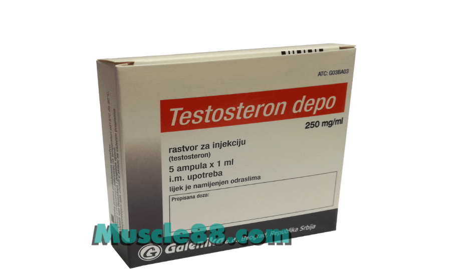 TESTOSTERON DEPOT 250mg (Galenika)