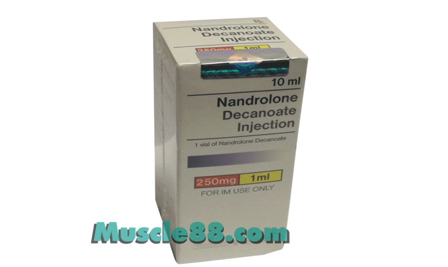 NANDROLONE DECANOATE INJECTION 250mg (Genesis)