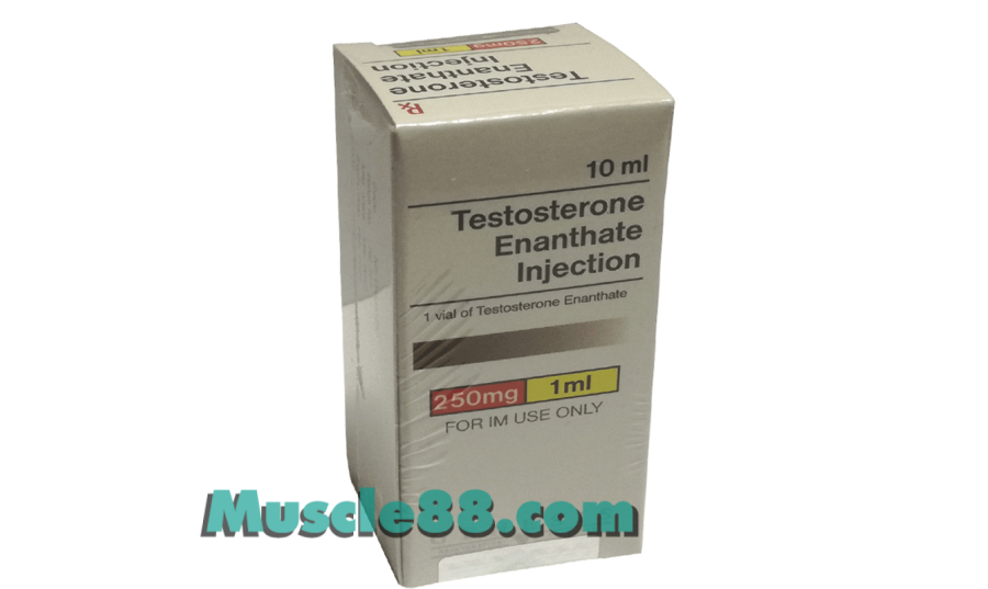 TESTOSTERONE ENANTHATE INJECTION 10ml 250mg/ml (Genesis)