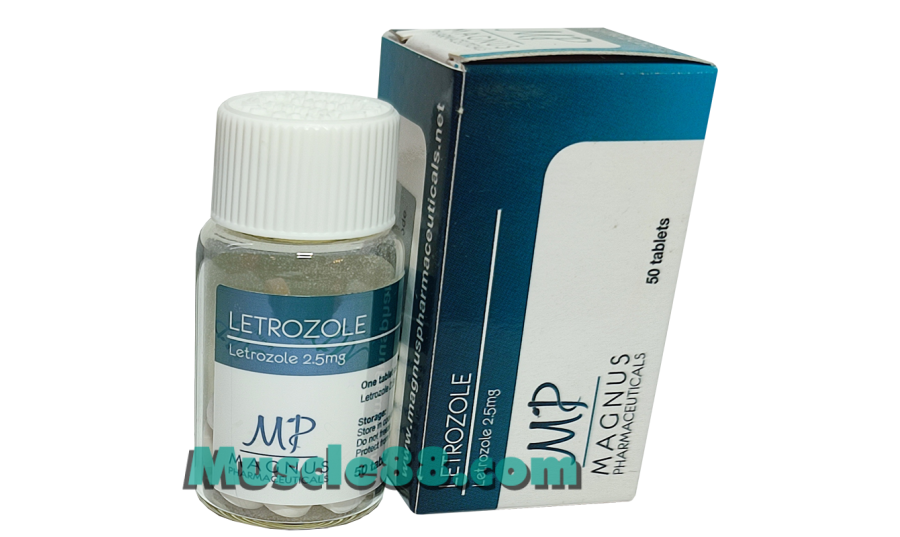 Letrozole 2.5mg (Magnus Pharmaceuticals)