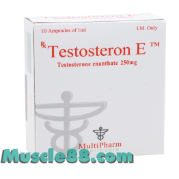 TESTOSTERON E  250mg (MultiPharm Healthcare)