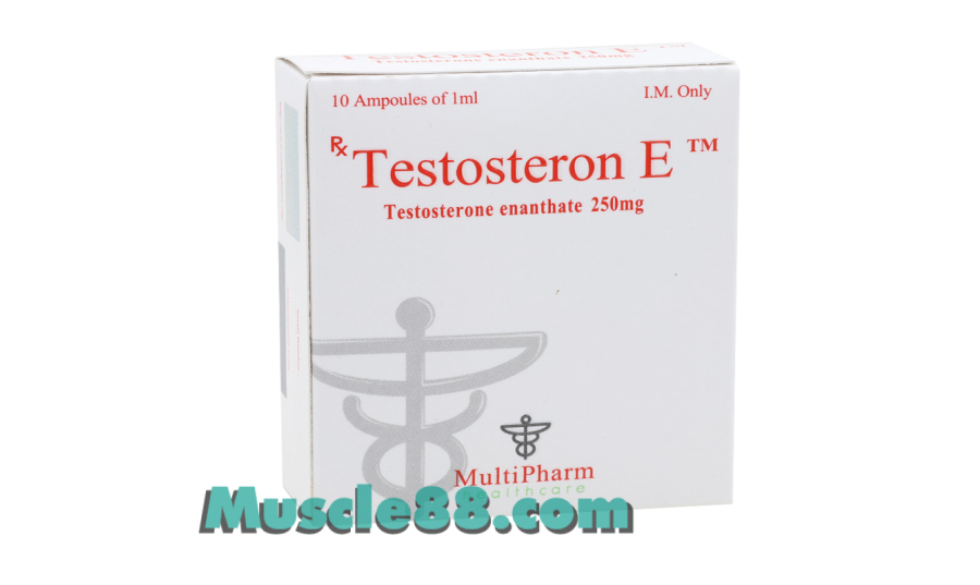 TESTOSTERON E  250mg (MultiPharm Healthcare)