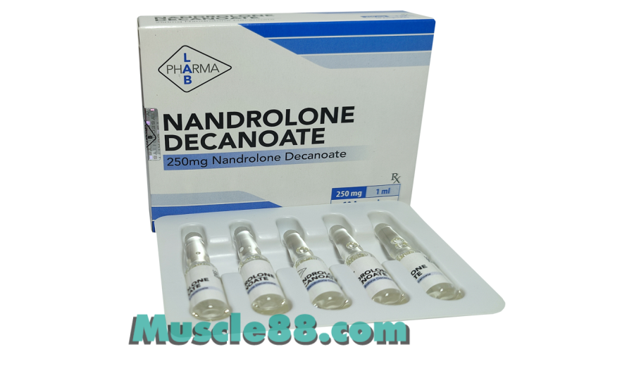 Nandrolone Decanoate 250mg (PharmaLab)