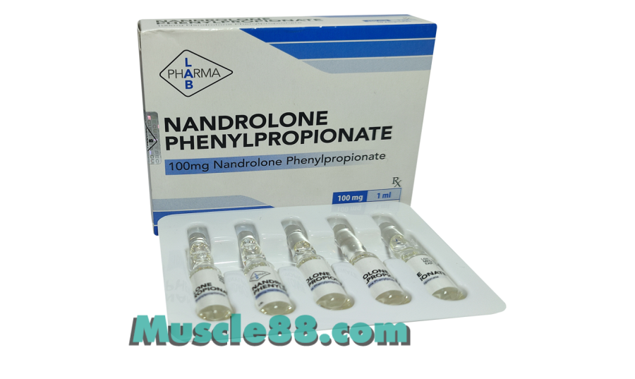 Nandrolone Phenylpropionate 100mg (PharmaLab)