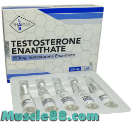 Testosterone Enanthate 10amp 250mg/amp (PharmaLab)