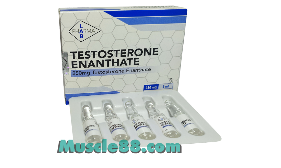 Testosterone Enanthate 10amp 250mg/amp (PharmaLab)