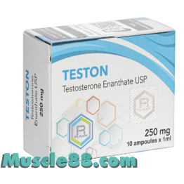 TESTON 250mg (Raw Pharma)