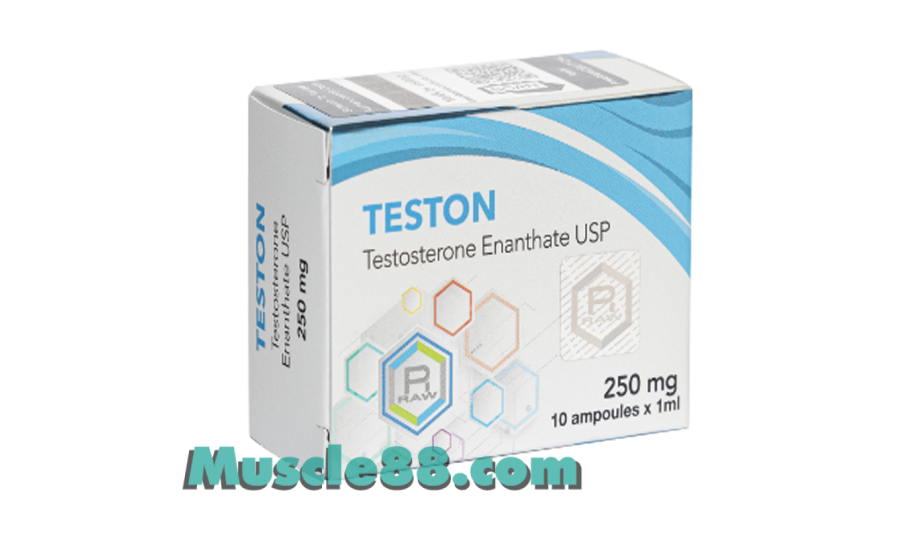 TESTON 250mg (Raw Pharma)