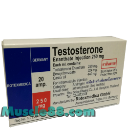 TESTOSTERONE ENANTHATE INJECTION 250mg/amp (Rotexmedica)