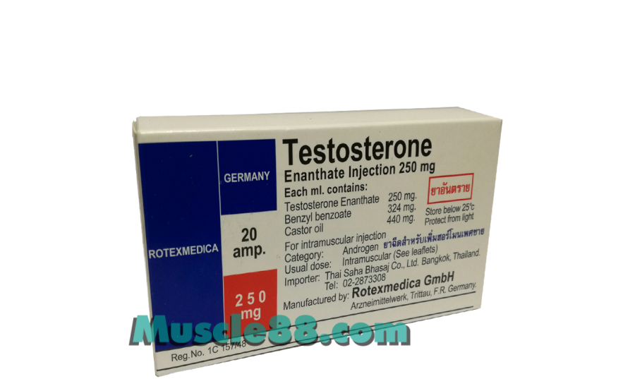 TESTOSTERONE ENANTHATE INJECTION 250mg/amp (Rotexmedica)