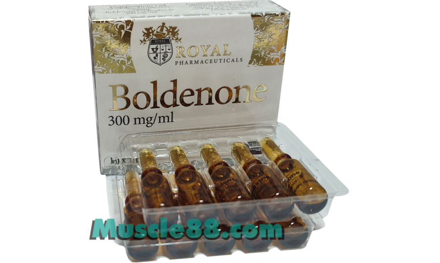 Boldenone 300mg (Royal Pharmaceuticals)