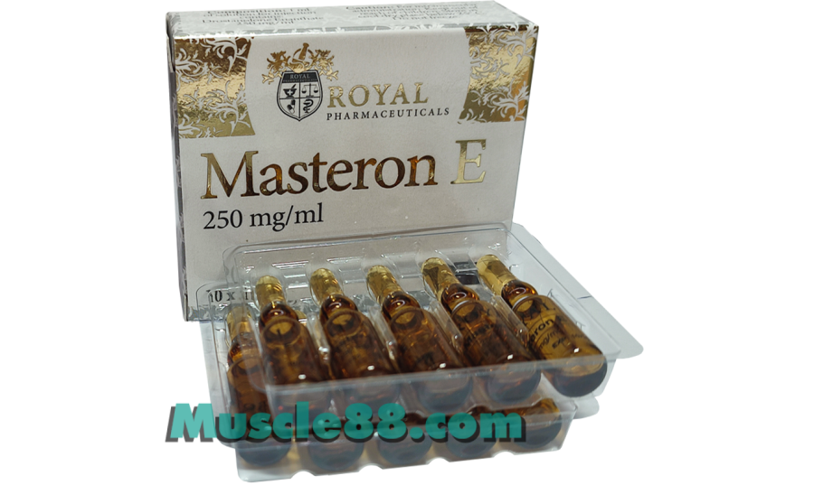 Masteron E 250mg (Royal Pharmaceuticals)