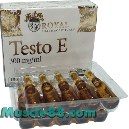 Testo E 300mg (Royal Pharmaceuticals)