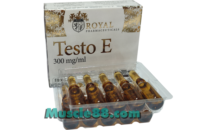 Testo E 300mg (Royal Pharmaceuticals)