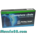 Clomiphene Citrate 50mg (Sterling Knight)