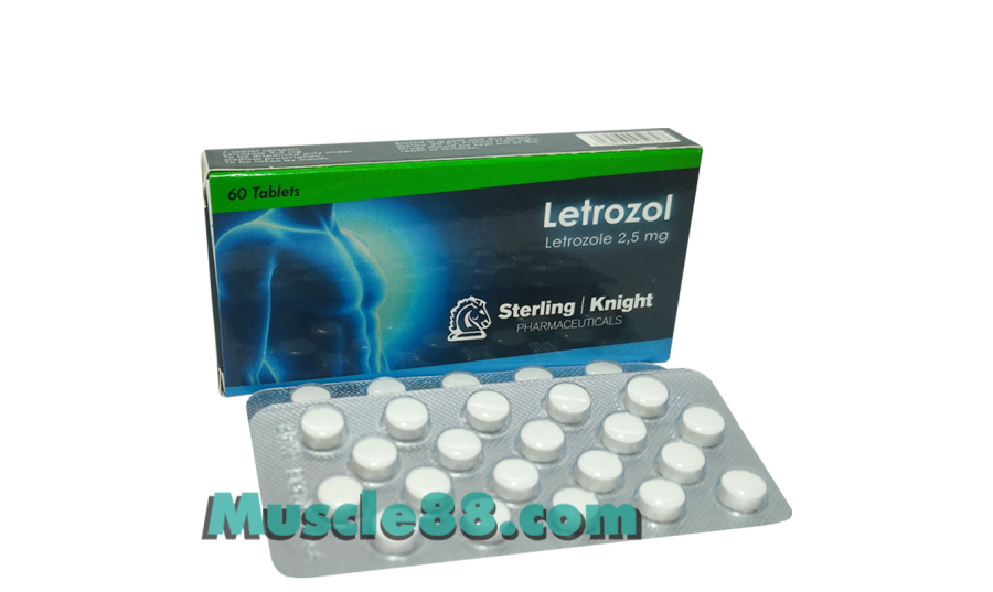 Letrozol 2,5mg (Sterling Knight)