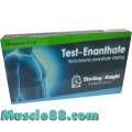 Test-Enanthate 250mg (Sterling Knight)