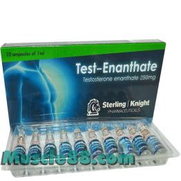 Test-Enanthate 250mg (Sterling Knight)