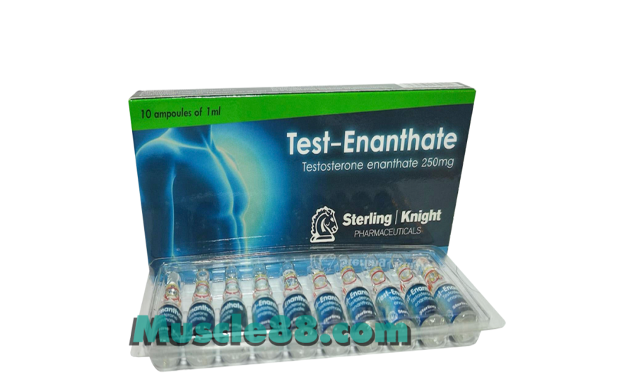 Test-Enanthate 250mg (Sterling Knight)