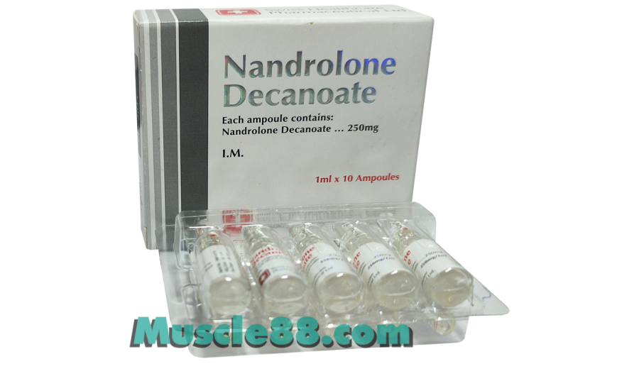 Nandrolone Decanoate 250mg (Swiss Healthcare Pharmaceuticals)