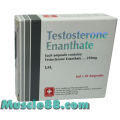 Testosterone Enanthate 10amp 250mg/ml (Swiss Healthcare Pharmaceuticals)