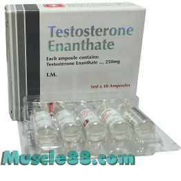 Testosterone Enanthate 10amp 250mg/ml (Swiss Healthcare Pharmaceuticals)