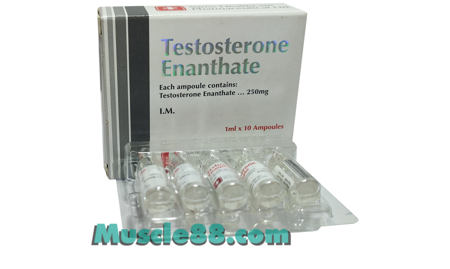 Testosterone Enanthate 10amp 250mg/ml (Swiss Healthcare Pharmaceuticals)