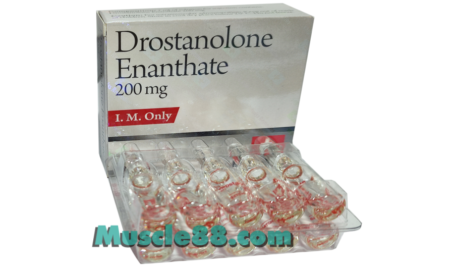 Drostanolone Enanthate 200mg (Swiss Remedies)