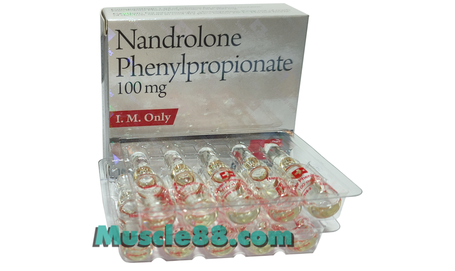 Nandrolone Phenylpropionate 100mg (Swiss Remedies)