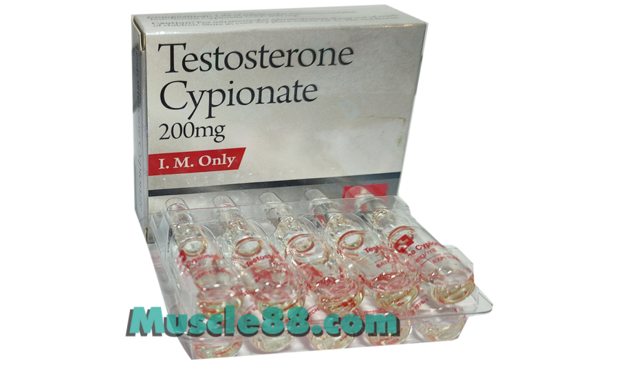 Testosterone Cypionate 10amp 200mg/amp (Swiss Remedies)