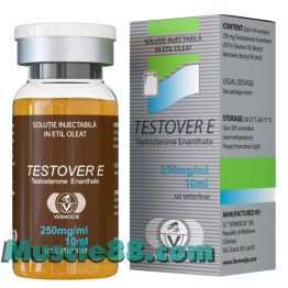 TESTOVER E 10ml 250mg/ml (Vermodje)